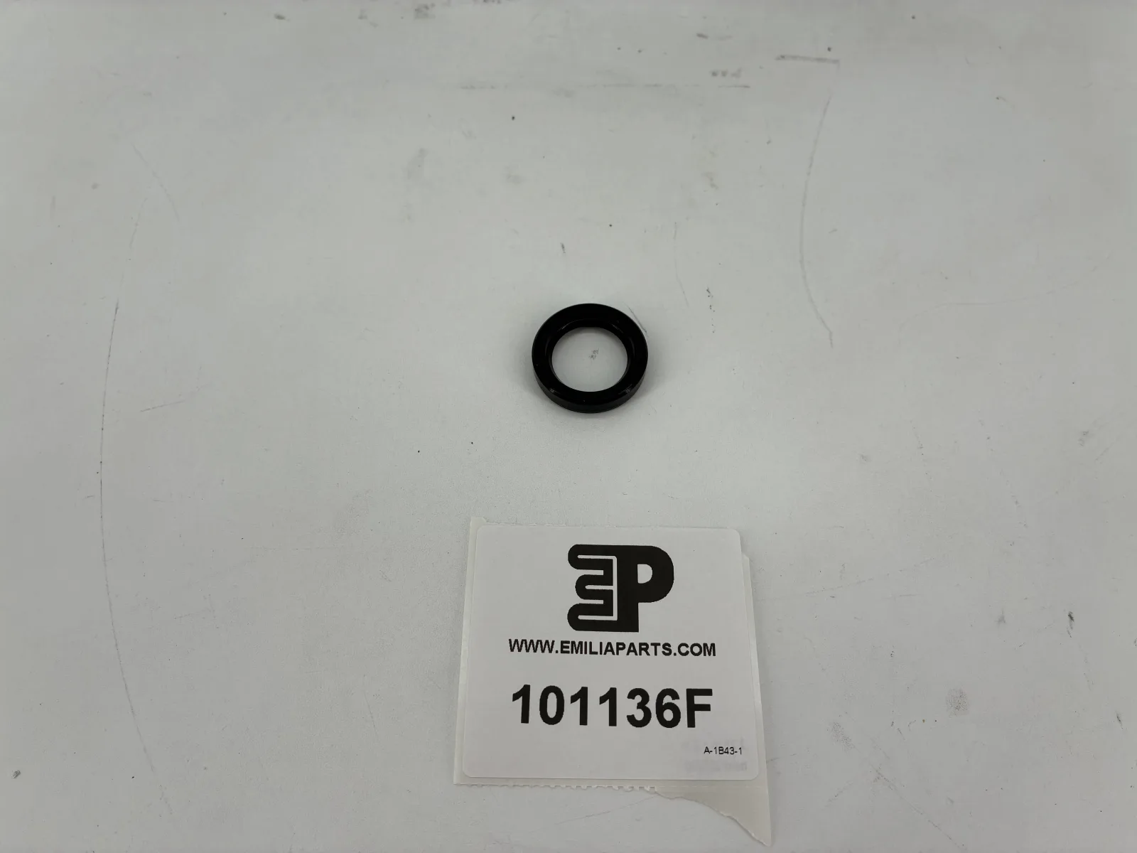 101136 FERRARI JOINT POMPE A EAU