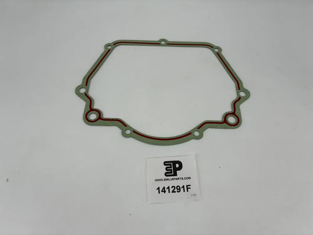 141291 FERRARI GUARNIZIONE COP.POST.BASAME
