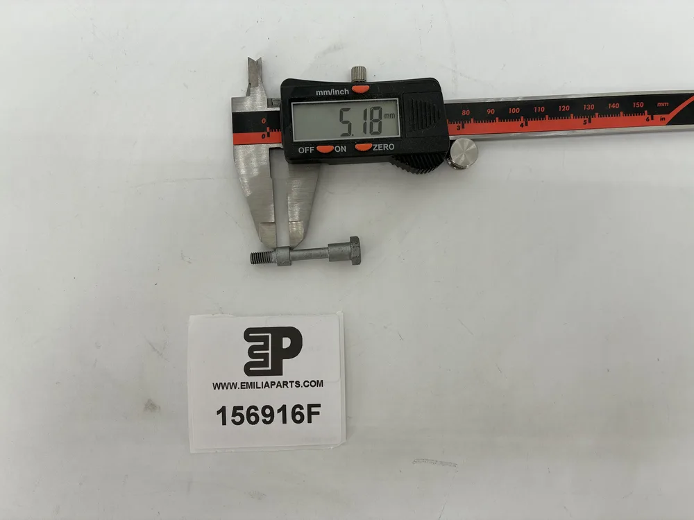 156916 FERRARI SCREW - 29mm 4