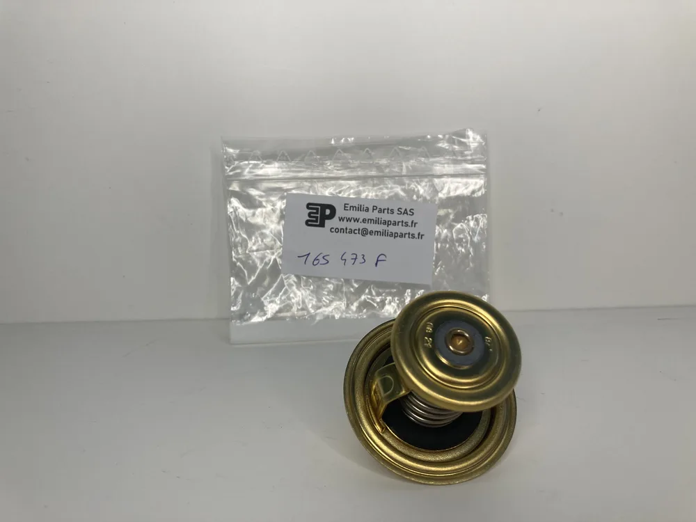 165473 FERRARI WATER THERMOSTAT 2