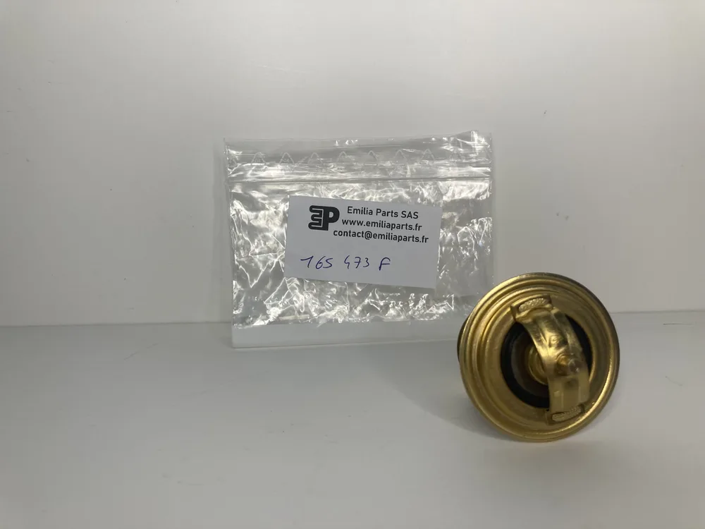 165473 FERRARI WATER THERMOSTAT 3