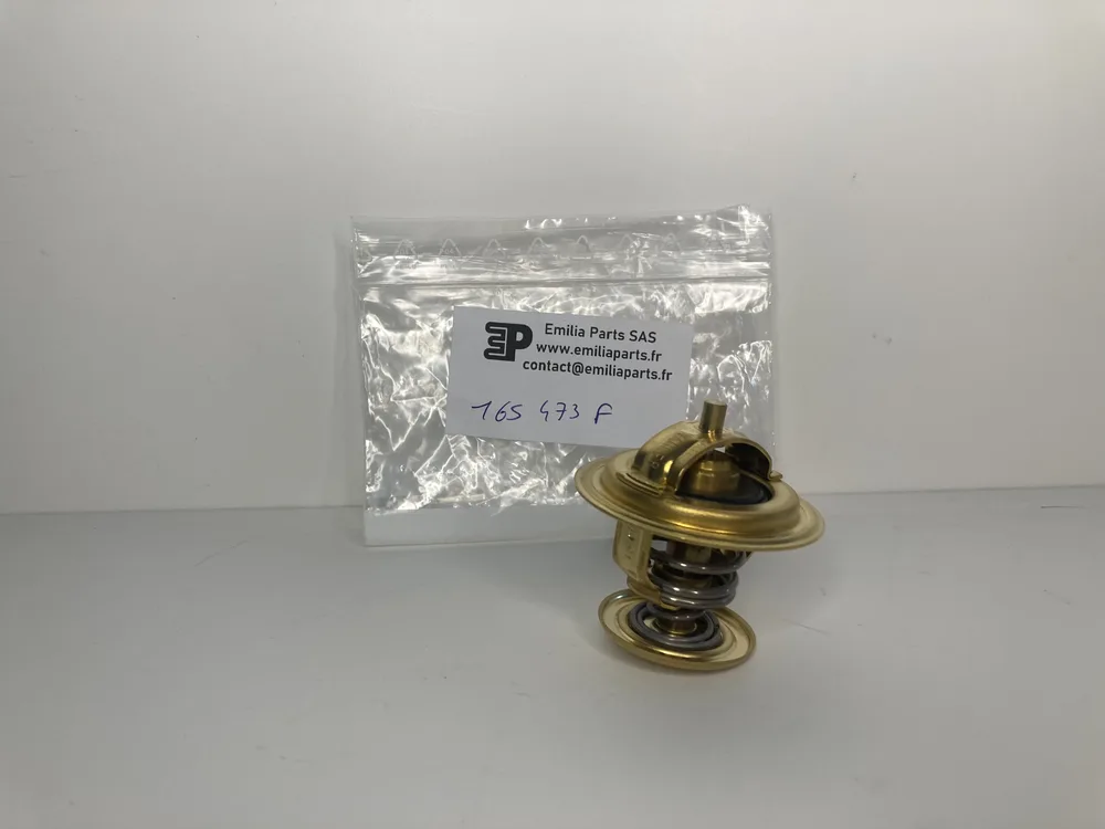 165473 FERRARI WATER THERMOSTAT 4