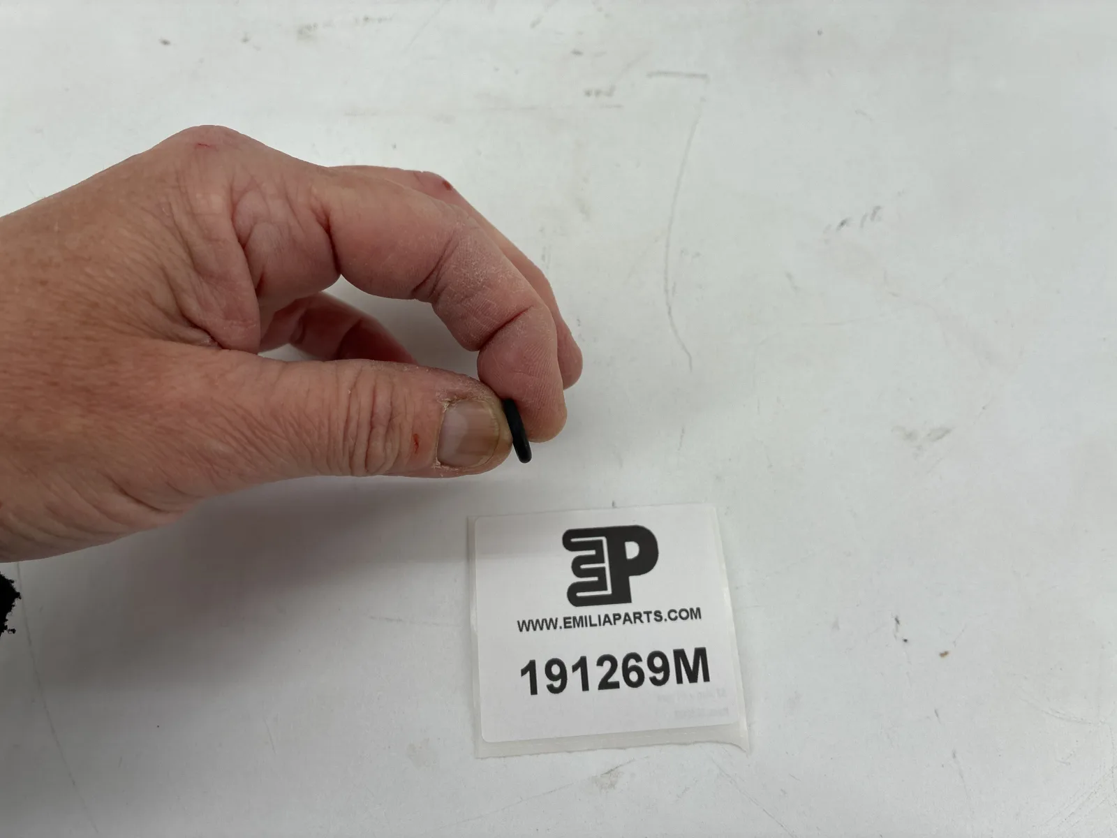 191269 MASERATI GASKET 2