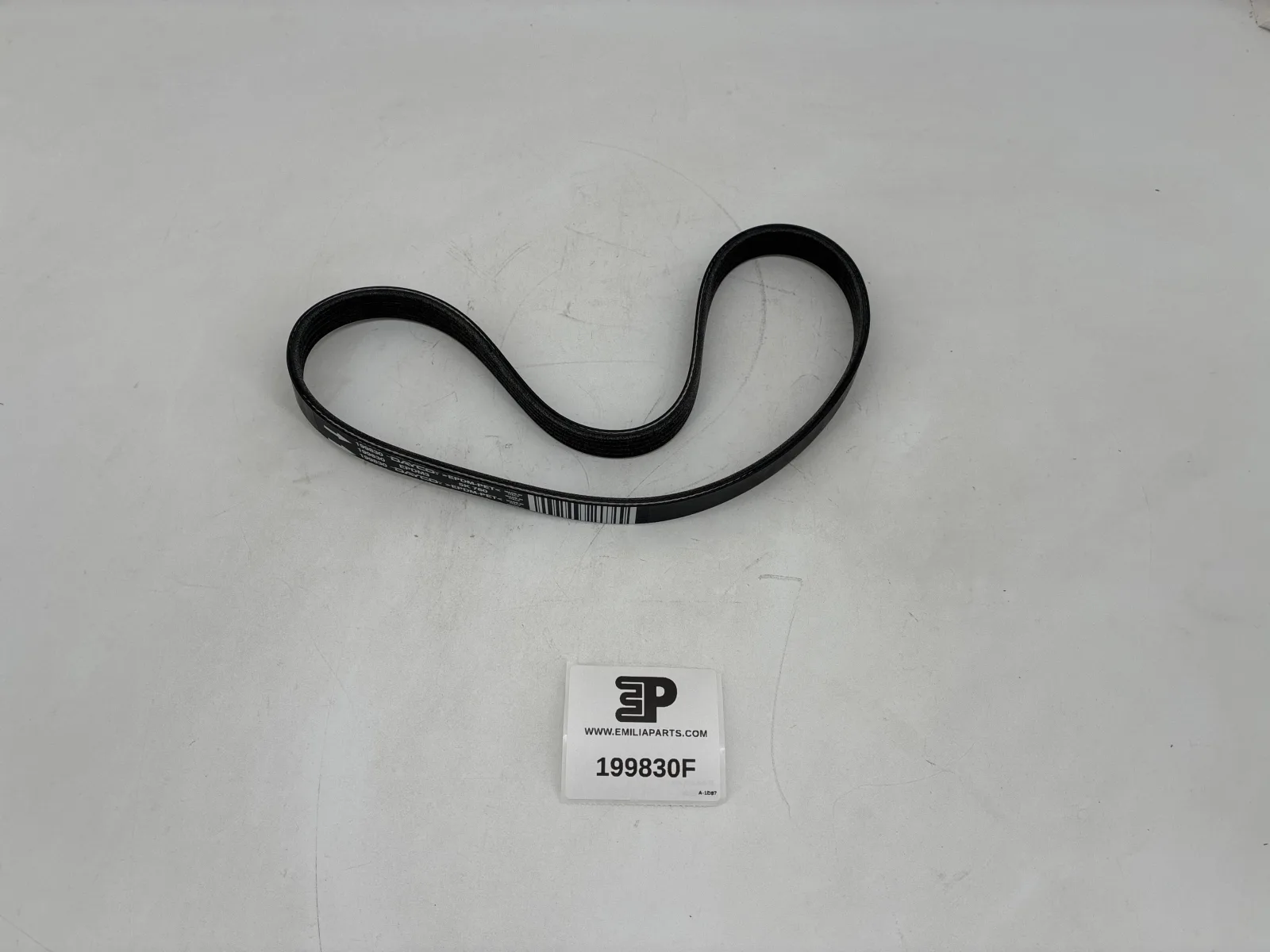 BELT.