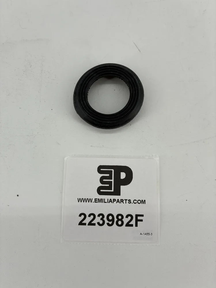 223982 FERRARI JOINT TORIQUE 2