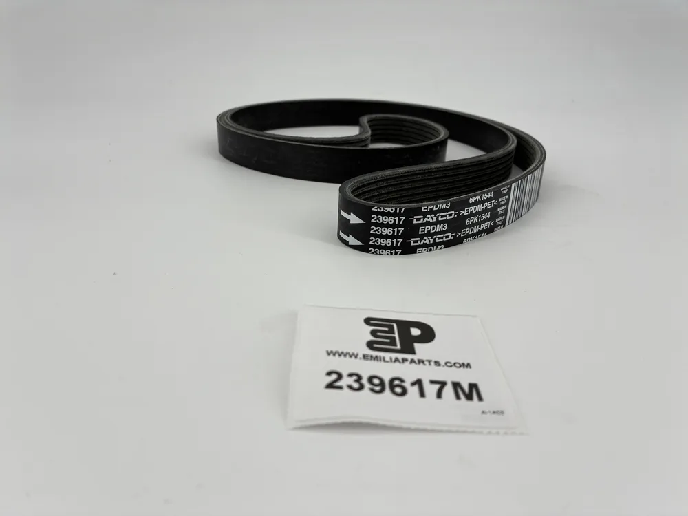 239617 MASERATI COURROIE DE COMMANDE COMPRESSEUR 2
