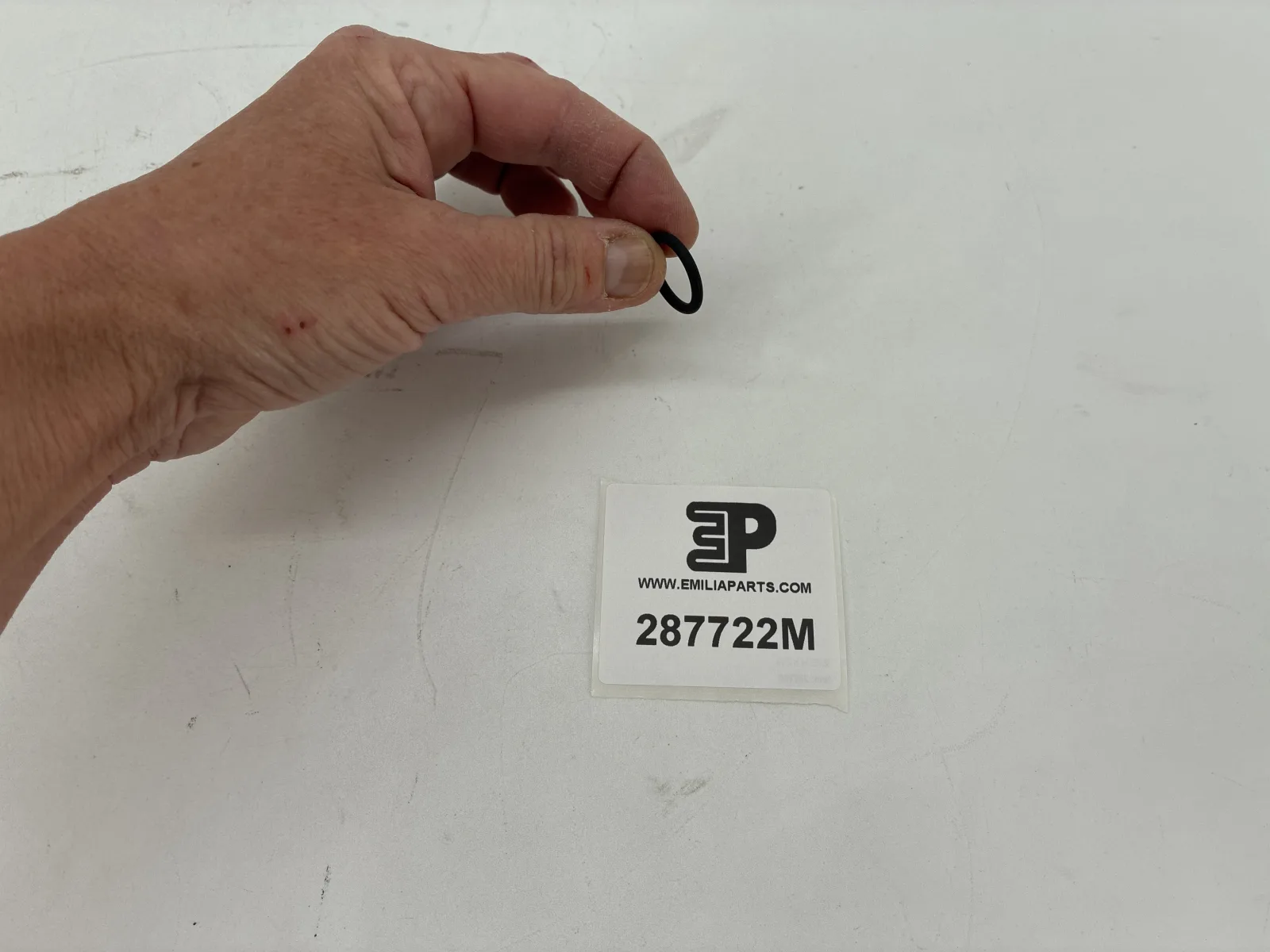 287722 MASERATI O-R GASKET 2
