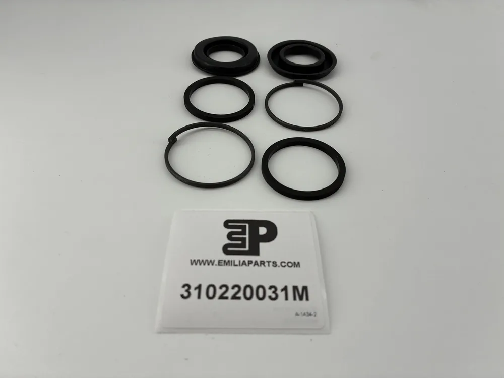 310220031 MASERATI GASKET SET 2