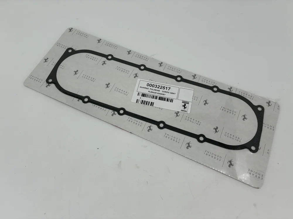 322517 FERRARI GUARNIZ. POLMONE CORPO C