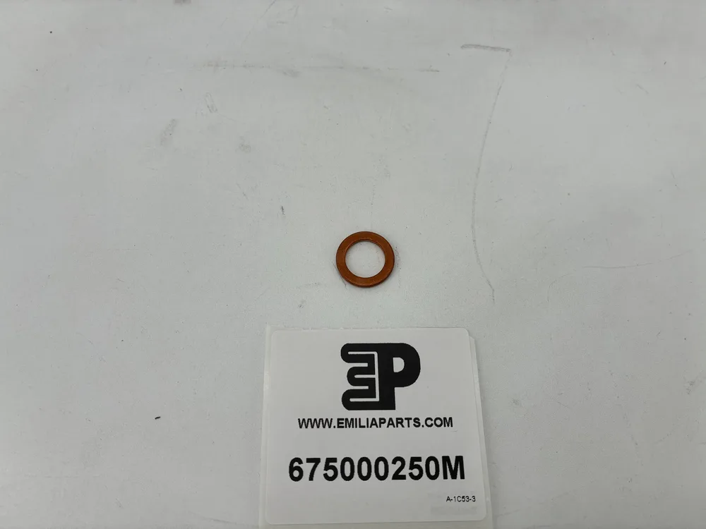 675000250 MASERATI JOINT