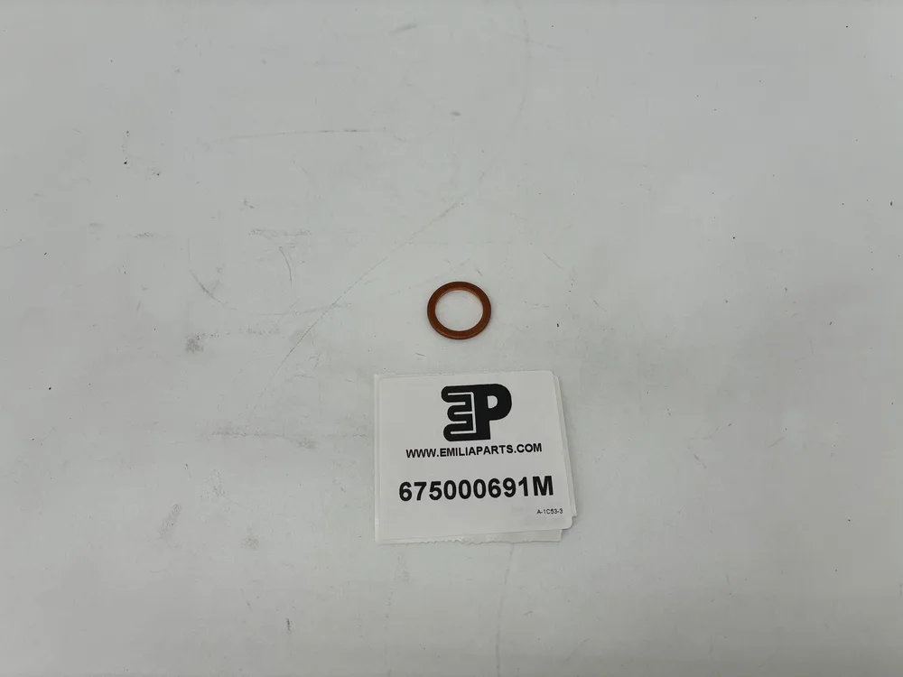 675000691 MASERATI JOINT