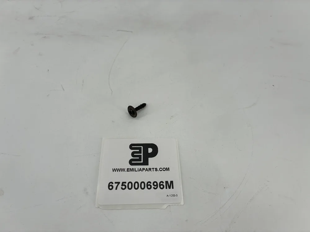 675000696 MASERATI VIS